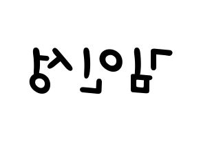KPOP idol SF9  인성 (Kim In-seong, Inseong) Printable Hangul name fan sign, fanboard resources for light sticks Reversed