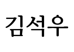 KPOP idol SF9  로운 (Kim Seok-woo, Rowoon) Printable Hangul name fan sign, fanboard resources for LED Normal