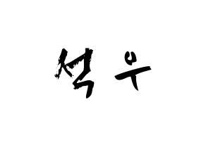 KPOP idol SF9  로운 (Kim Seok-woo, Rowoon) Printable Hangul name fan sign & fan board resources Normal