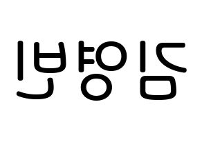 KPOP idol SF9  영빈 (Kim Young-bin, Youngbin) Printable Hangul name Fansign Fanboard resources for concert Reversed