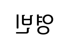 KPOP idol SF9  영빈 (Kim Young-bin, Youngbin) Printable Hangul name fan sign, fanboard resources for LED Reversed