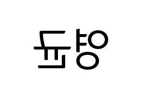 KPOP idol SF9  휘영 (Kim Young-kyun, Hwiyoung) Printable Hangul name fan sign, fanboard resources for light sticks Reversed