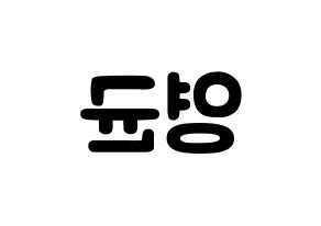 KPOP idol SF9  휘영 (Kim Young-kyun, Hwiyoung) Printable Hangul name fan sign & fan board resources Reversed