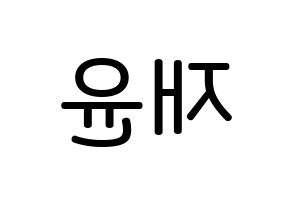 KPOP idol SF9  재윤 (Lee Jae-yoon, Jaeyoon) Printable Hangul name Fansign Fanboard resources for concert Reversed