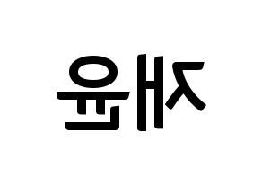 KPOP idol SF9  재윤 (Lee Jae-yoon, Jaeyoon) Printable Hangul name fan sign, fanboard resources for concert Reversed