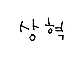 KPOP idol SF9  다원 (Lee Sang-hyuk, Dawon) Printable Hangul name Fansign Fanboard resources for concert Normal