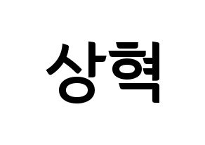 KPOP idol SF9  다원 (Lee Sang-hyuk, Dawon) Printable Hangul name fan sign, fanboard resources for concert Normal