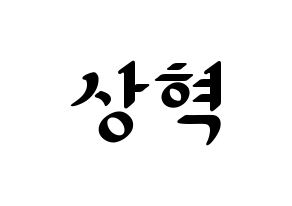 KPOP idol SF9  다원 (Lee Sang-hyuk, Dawon) Printable Hangul name fan sign, fanboard resources for LED Normal