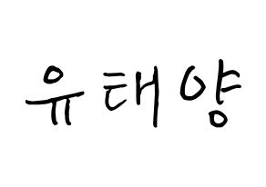 KPOP idol SF9  태양 (Yoo Tae-yang, Taeyang) Printable Hangul name fan sign, fanboard resources for concert Normal