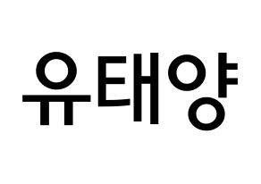 KPOP idol SF9  태양 (Yoo Tae-yang, Taeyang) Printable Hangul name Fansign Fanboard resources for concert Normal