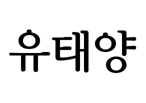 KPOP idol SF9  태양 (Yoo Tae-yang, Taeyang) Printable Hangul name fan sign, fanboard resources for LED Normal