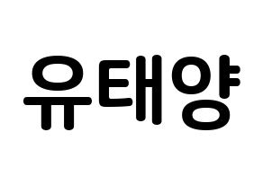 KPOP idol SF9  태양 (Yoo Tae-yang, Taeyang) Printable Hangul name fan sign, fanboard resources for concert Normal