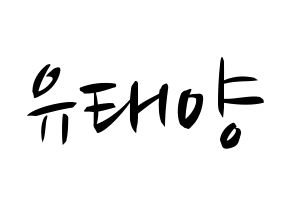KPOP idol SF9  태양 (Yoo Tae-yang, Taeyang) Printable Hangul name fan sign, fanboard resources for concert Normal