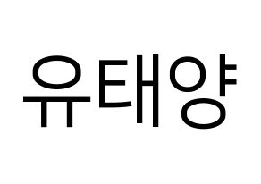 KPOP idol SF9  태양 (Yoo Tae-yang, Taeyang) Printable Hangul name fan sign, fanboard resources for LED Normal