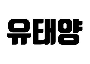 KPOP idol SF9  태양 (Yoo Tae-yang, Taeyang) Printable Hangul name fan sign, fanboard resources for light sticks Normal