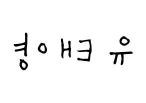 KPOP idol SF9  태양 (Yoo Tae-yang, Taeyang) Printable Hangul name Fansign Fanboard resources for concert Reversed