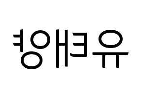 KPOP idol SF9  태양 (Yoo Tae-yang, Taeyang) Printable Hangul name fan sign, fanboard resources for light sticks Reversed