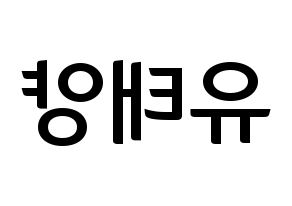 KPOP idol SF9  태양 (Yoo Tae-yang, Taeyang) Printable Hangul name fan sign, fanboard resources for concert Reversed