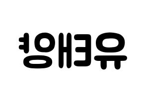 KPOP idol SF9  태양 (Yoo Tae-yang, Taeyang) Printable Hangul name fan sign & fan board resources Reversed