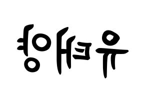 KPOP idol SF9  태양 (Yoo Tae-yang, Taeyang) Printable Hangul name fan sign, fanboard resources for concert Reversed