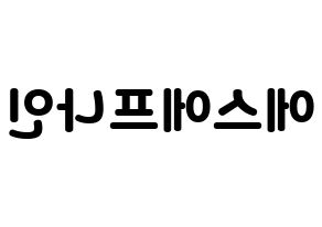 KPOP idol SF9 Printable Hangul fan sign & concert board resources Reversed
