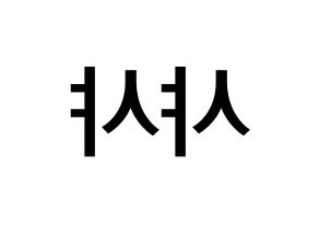 KPOP idol SHA SHA Printable Hangul Fansign Fanboard resources Reversed