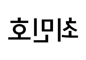 KPOP idol SHINee  민호 (Choi Min-ho, Minho) Printable Hangul name Fansign Fanboard resources for concert Reversed