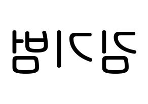 KPOP idol SHINee  키 (Kim Ki-bum, Key) Printable Hangul name Fansign Fanboard resources for concert Reversed