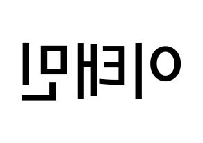 KPOP idol SHINee  태민 (Lee Tae-min, Taemin) Printable Hangul name Fansign Fanboard resources for concert Reversed