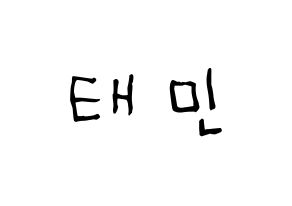 KPOP idol SHINee  태민 (Lee Tae-min, Taemin) Printable Hangul name Fansign Fanboard resources for concert Normal