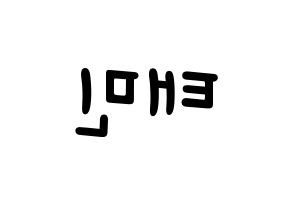 KPOP idol SHINee  태민 (Lee Tae-min, Taemin) Printable Hangul name fan sign, fanboard resources for light sticks Reversed
