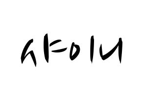 KPOP idol SHINee Printable Hangul fan sign, concert board resources for light sticks Normal