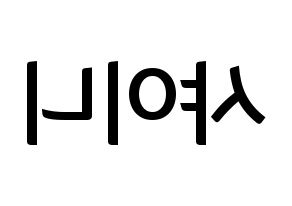 KPOP idol SHINee Printable Hangul fan sign & fan board resources Reversed