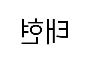 KPOP idol South Club  남태현 (Nam Tae-hyun, Nam Tae-hyun) Printable Hangul name fan sign, fanboard resources for LED Reversed