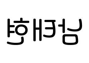 KPOP idol South Club  남태현 (Nam Tae-hyun, Nam Tae-hyun) Printable Hangul name Fansign Fanboard resources for concert Reversed