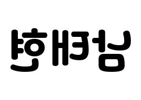 KPOP idol South Club  남태현 (Nam Tae-hyun, Nam Tae-hyun) Printable Hangul name fan sign & fan board resources Reversed