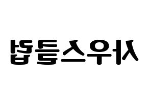 KPOP idol South Club Printable Hangul fan sign, fanboard resources for light sticks Reversed