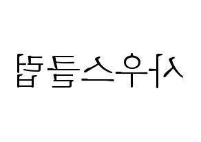 KPOP idol South Club Printable Hangul fan sign & concert board resources Reversed