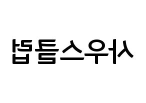 KPOP idol South Club Printable Hangul fan sign & fan board resources Reversed