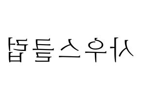 KPOP idol South Club Printable Hangul fan sign & concert board resources Reversed