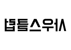 KPOP idol South Club Printable Hangul Fansign concert board resources Reversed