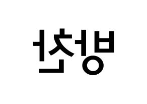 KPOP idol Stray Kids  방찬 (Christopher Bang, Bang Chan) Printable Hangul name Fansign Fanboard resources for concert Reversed