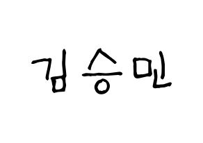 KPOP idol Stray Kids  승민 (Kim Seung-min, Seungmin) Printable Hangul name fan sign, fanboard resources for light sticks Normal