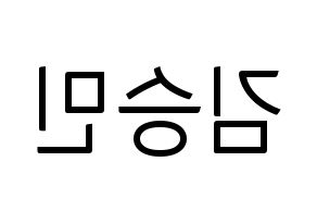 KPOP idol Stray Kids  승민 (Kim Seung-min, Seungmin) Printable Hangul name fan sign, fanboard resources for light sticks Reversed