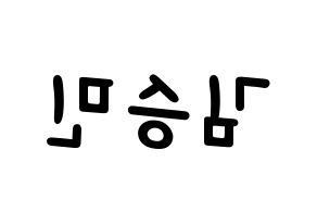 KPOP idol Stray Kids  승민 (Kim Seung-min, Seungmin) Printable Hangul name fan sign, fanboard resources for light sticks Reversed