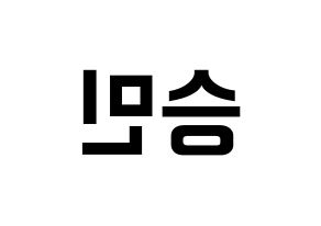 KPOP idol Stray Kids  승민 (Kim Seung-min, Seungmin) Printable Hangul name fan sign, fanboard resources for concert Reversed