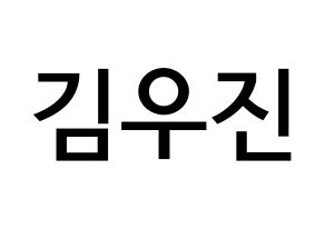 KPOP idol Stray Kids  우진 (Kim Woo-jin, Woojin) Printable Hangul name Fansign Fanboard resources for concert Normal