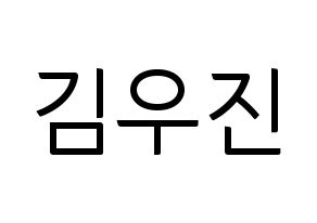 KPOP idol Stray Kids  우진 (Kim Woo-jin, Woojin) Printable Hangul name fan sign, fanboard resources for light sticks Normal