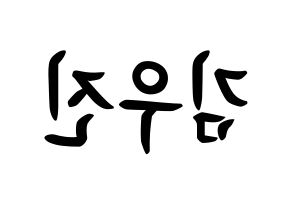 KPOP idol Stray Kids  우진 (Kim Woo-jin, Woojin) Printable Hangul name fan sign, fanboard resources for concert Reversed