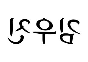 KPOP idol Stray Kids  우진 (Kim Woo-jin, Woojin) Printable Hangul name fan sign, fanboard resources for concert Reversed